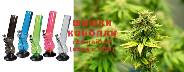 ГАЛЛЮЦИНОГЕННЫЕ ГРИБЫ Медвежьегорск