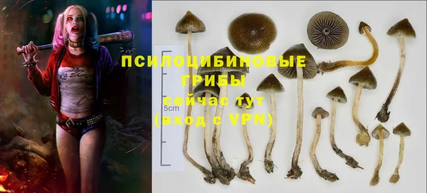 ALPHA-PVP Майский