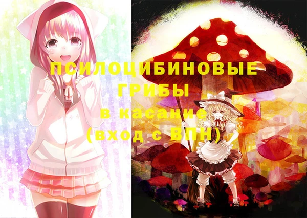 jwh Медногорск