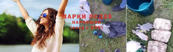 ГАЛЛЮЦИНОГЕННЫЕ ГРИБЫ Медвежьегорск